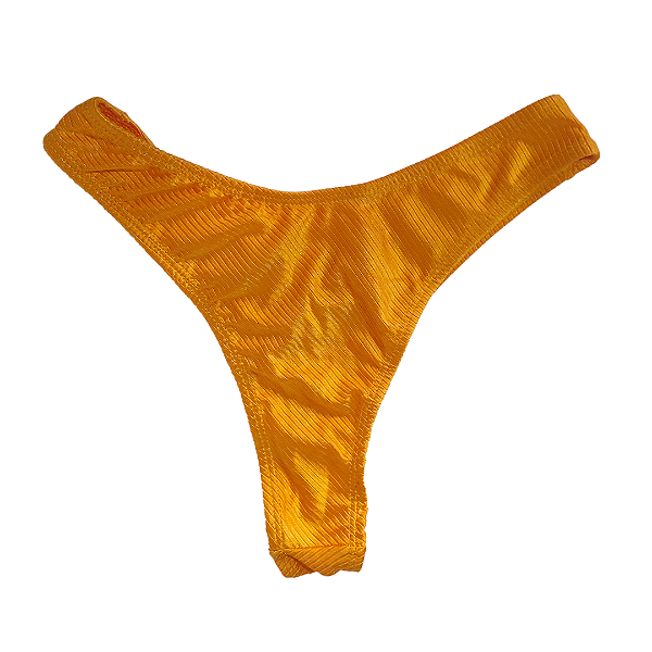 Calcinha Biquini Asa Delta Lisa