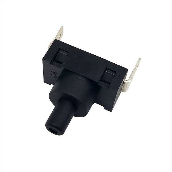 Interruptor Liga e Desliga 12A 250VAC 127V Para Aspirador EASY1 EASY2 EAS30 Electrolux A09894701 E001030005b