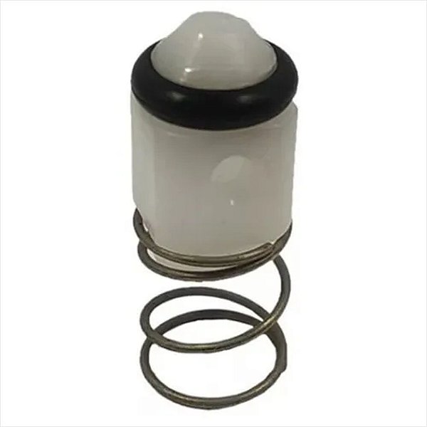 Válvula Retenção Para Lavadora de Alta Pressão EWS30 EWS31 EWS50 EWS1800 EWS1850 Electrolux A09828501 B5451570001R