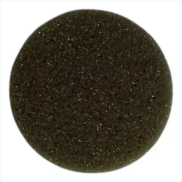 Filtro Entrada de Ar Para Aspirador de Pó PTE10 Electrolux A22571701