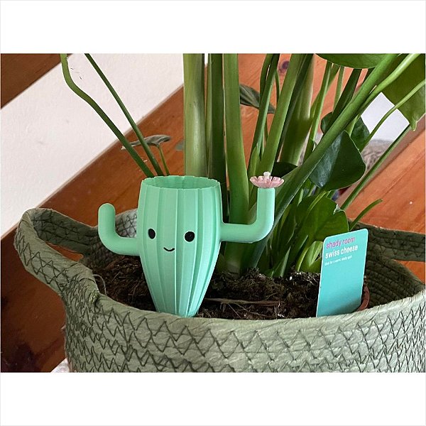 Planta de Cacto Feliz com Sistema de Irrigação Solution 3D 538453
