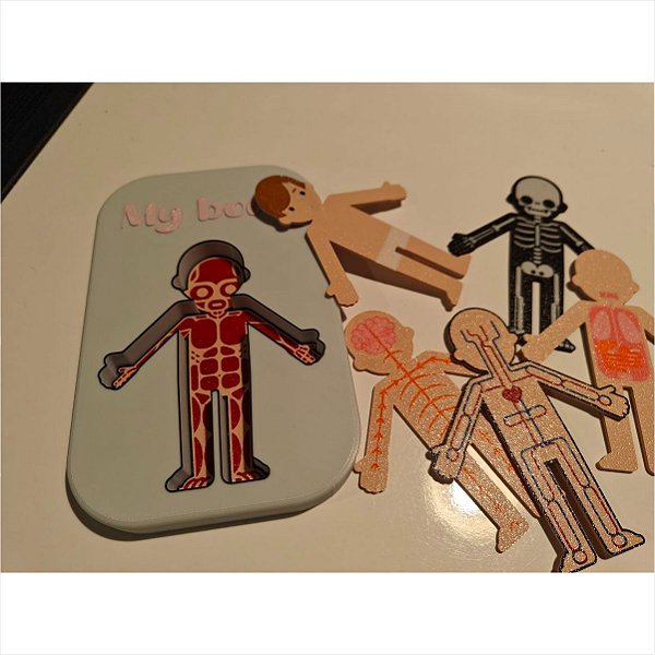 Quebra-cabeça Montessori Corpo Humano Camadas Solution 3D 585293