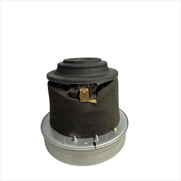 Motor ASS 1400w 127v para Aspirador de Pó EAS31 Electrolux A17343401 (testado)
