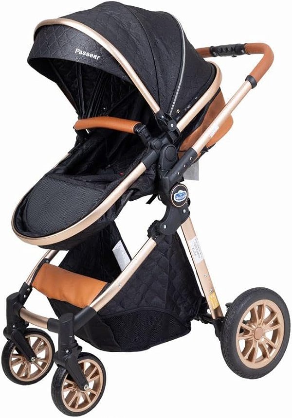 CARRINHO MOISÉS ARES PLUS - PASSEAR