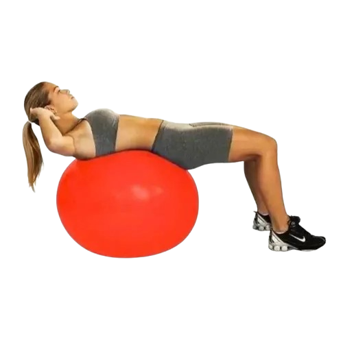 PROFESSIONAL FISIOBALL FISIOPAUHER - 55 CM - VERMELHA
