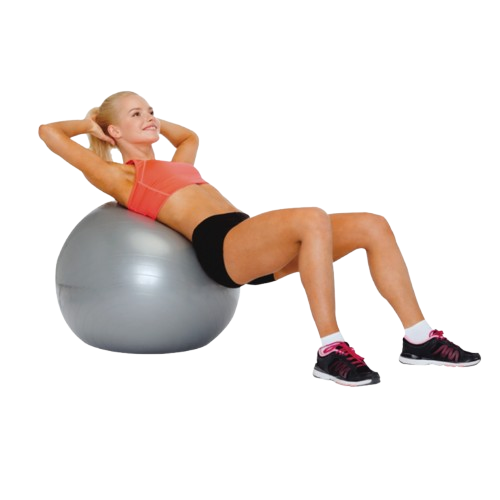 PROFESSIONAL FISIOBALL FISIOPAUHER - 75 CM - CINZA