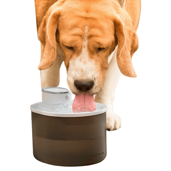 Bebedouro Fonte de Água Automático para Pets 3L com Sensor e USB