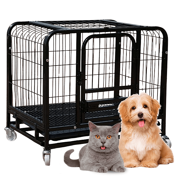 Gaiola Cachorro Gato Pet Canil Pet Shop Rodinhas Seguro GG