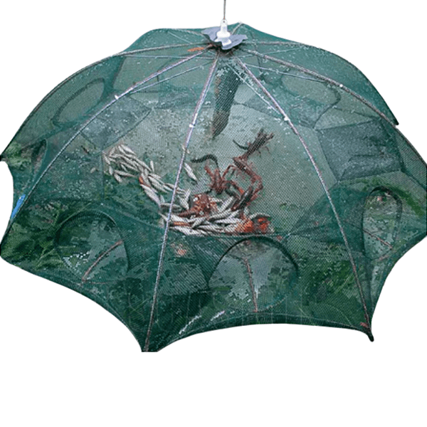 Armadilha De Pesca Covo - Formato Guarda Chuva - 8 Entradas