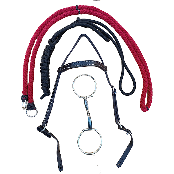 Cabresto + rédea vermelho + cabeçada + bridão D para cavalos e montaria