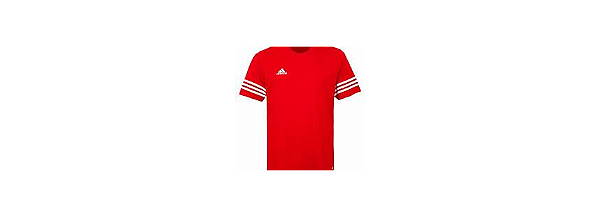 CAMISA ADIDAS DRY SQUAD F50485