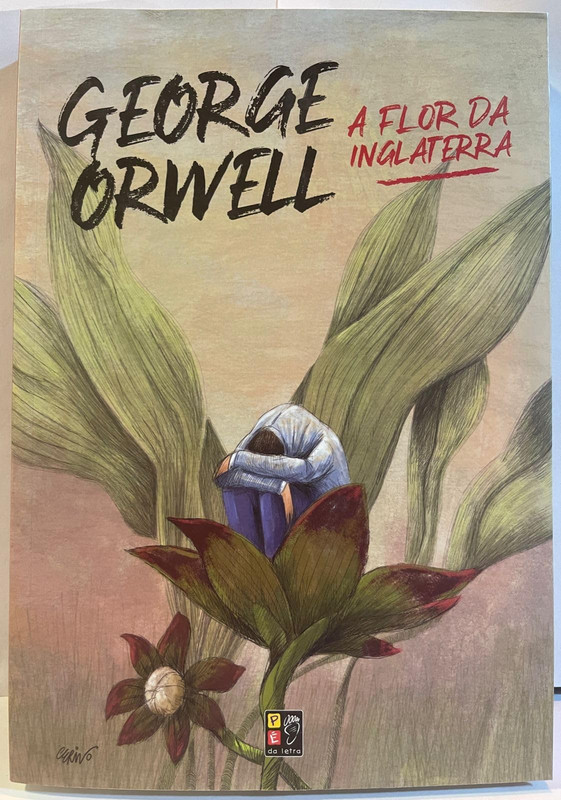 A FLOR DA INGLATERRA