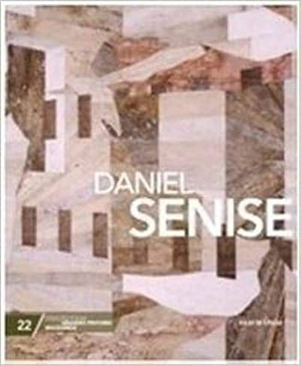 LIVRO GRANDES PINTORES BRASILEIROS VOL. 22 - DANIEL SENISE