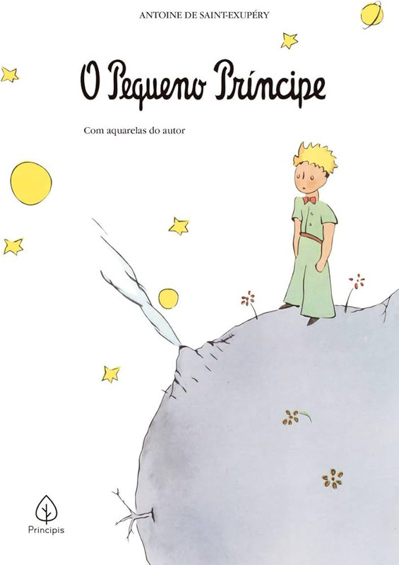 O PEQUENO PRÍNCIPE