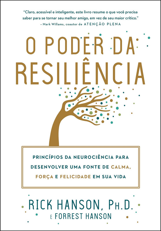 O PODER DA RESILIÊNCIA