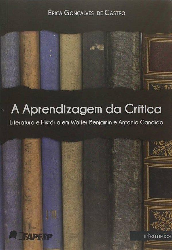 A APRENDIZAGEM DA CRÍTICA