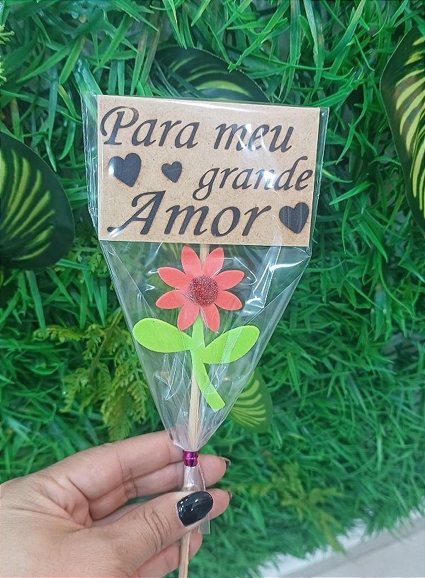 Plaquinha com mensagem no palito (Escritas Diversas)