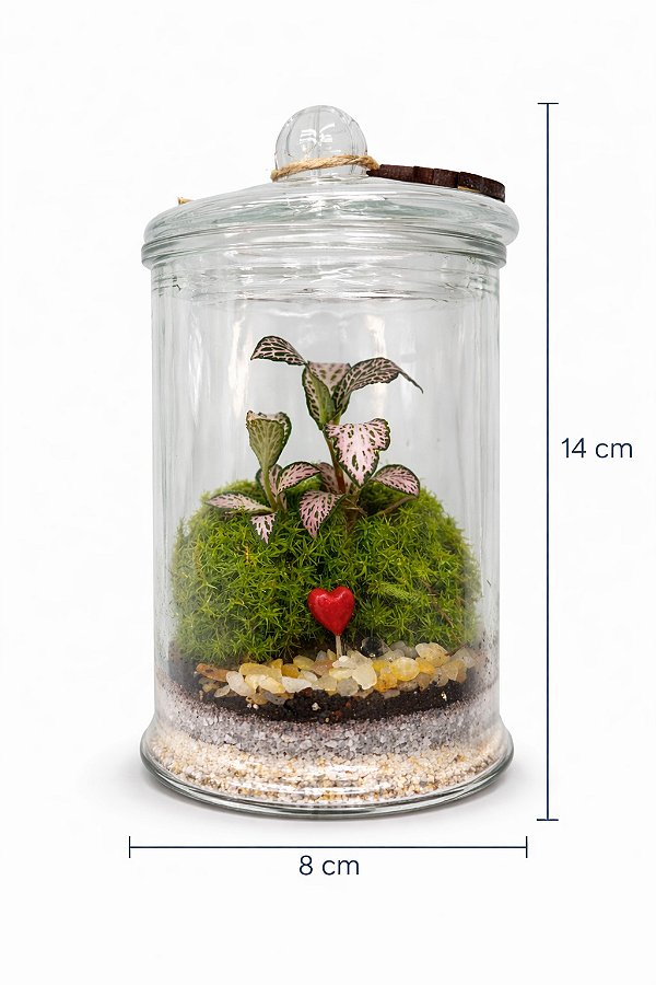 Vasos Plantados | Terrários - Terrário 14cm (quatorze centímetros) com Coração