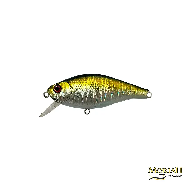 LAMBARI