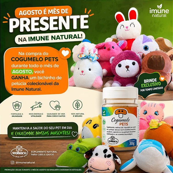 BICHINHOS COLECIONÁVEIS