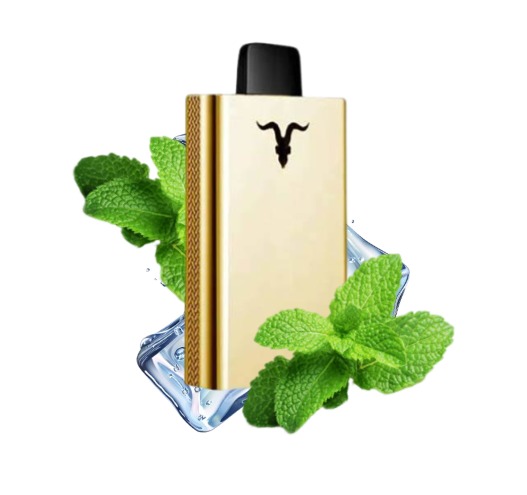 Pod Desc V80 Gold 8.000 MENTHOL
