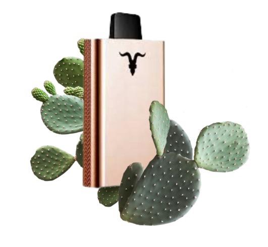 Pod Desc V80 Rose 8.000 CACTUS