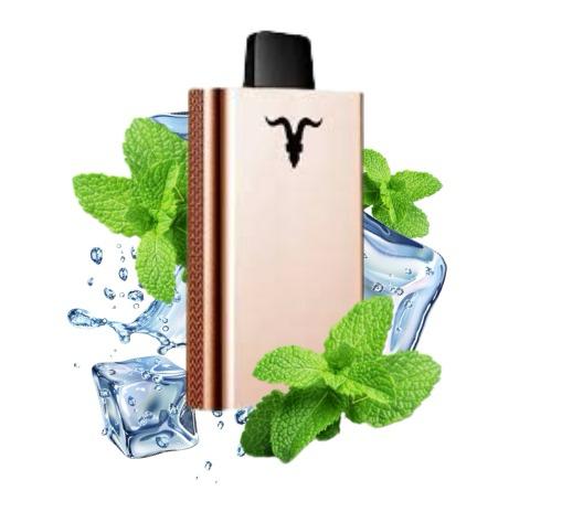 Pod Desc V80 Rose 8.000 ICE MINT