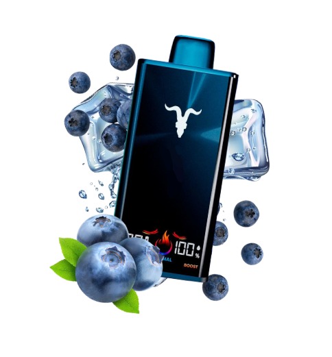 Pod Desc Ignite V300 30.000 BLUEBERRY ICE