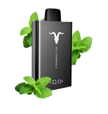 Pod Desc Ignite V80 NE - MENTHOL