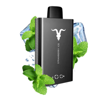 Pod Desc Ignite V80 NE - ICY MINT