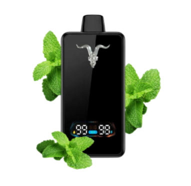 Pod Desc IGNITE V300 Slim - MENTHOL