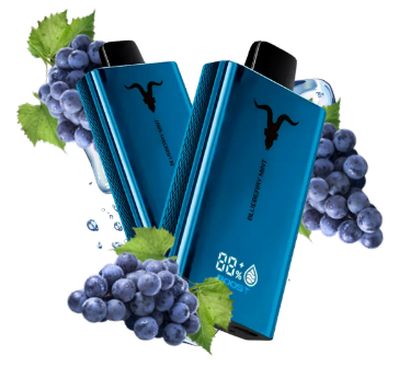 Pod Desc IGNITE V80 BLUE - FROZEN GRAPE