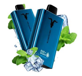 Pod Desc IGNITE V80 BLUE - ICY MINT +