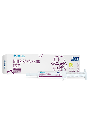 Nexin Pasta Suplemento Quitosana L-Arginina p/ Cães e Gatos c/ 1 Seringa c/ 40 g