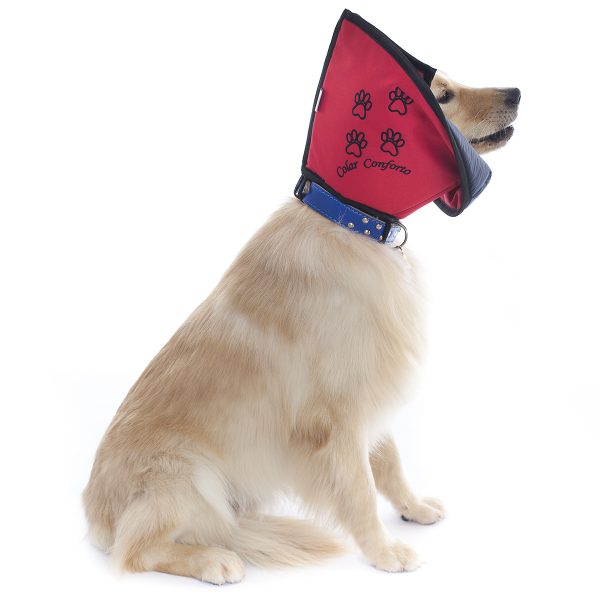 Colar Conforto Pet Med