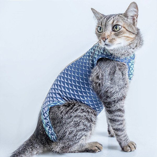 Roupa Cirúrgica Duo Dry Gatos - Verde