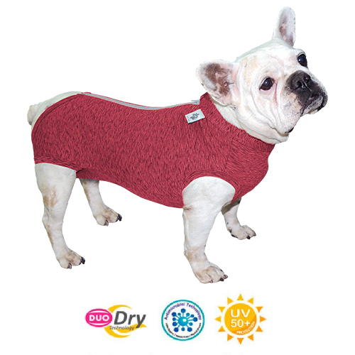 Roupa Cirúrgica Duo Dry Buldogue Francês - Rosa