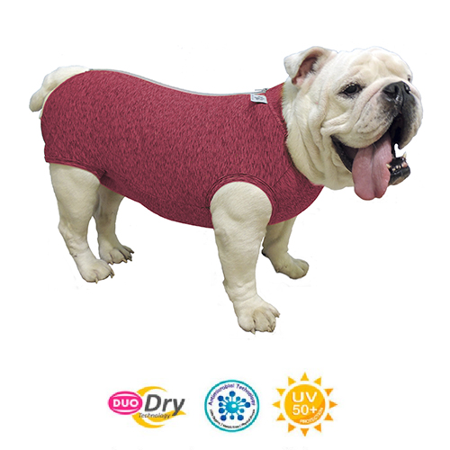 Roupa Cirúrgica Duo Dry Buldogue Inglês - Rosa