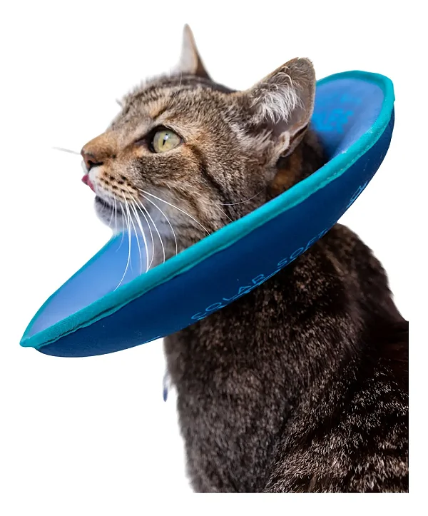 COLAR SOFT ULTRALEVE PARA GATOS - PETRÓLEO E TURQUESA | M