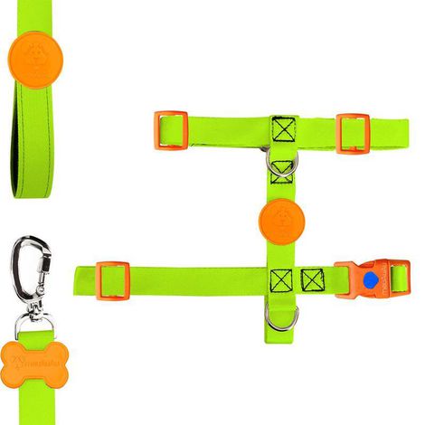 KIT H MEUAUAU LEMONADE - P