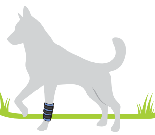 Órtese p/ Carpo Linha Duo