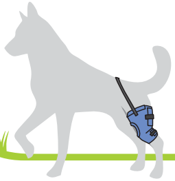 Órtese p/ Joelho Linha Prati