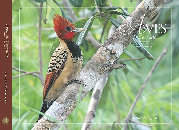 Livro: Aves do Cerrado – Volume 3