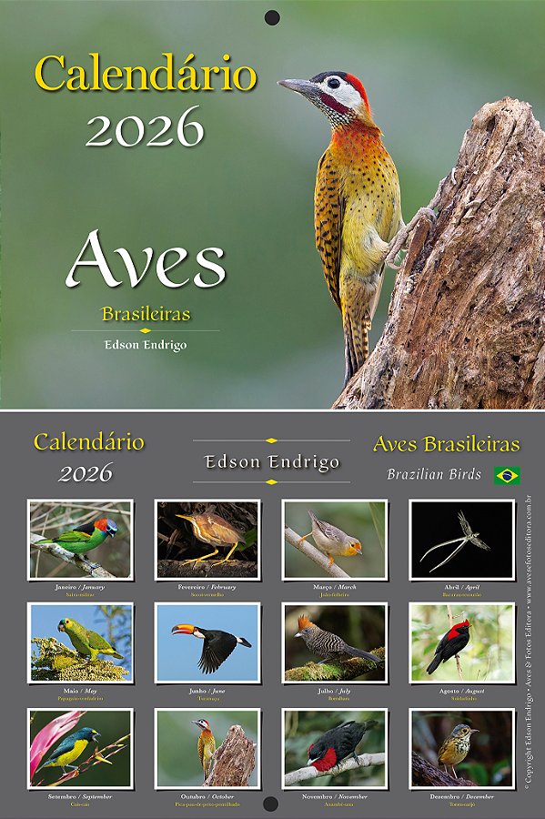 Calendário Aves Brasileiras 2026