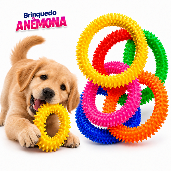 Anêmona M Brinquedo Para Cachorro