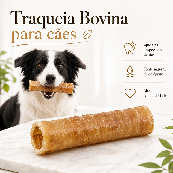 Mordedor Natural Para Cachorro Traqueia Bovina Petisco