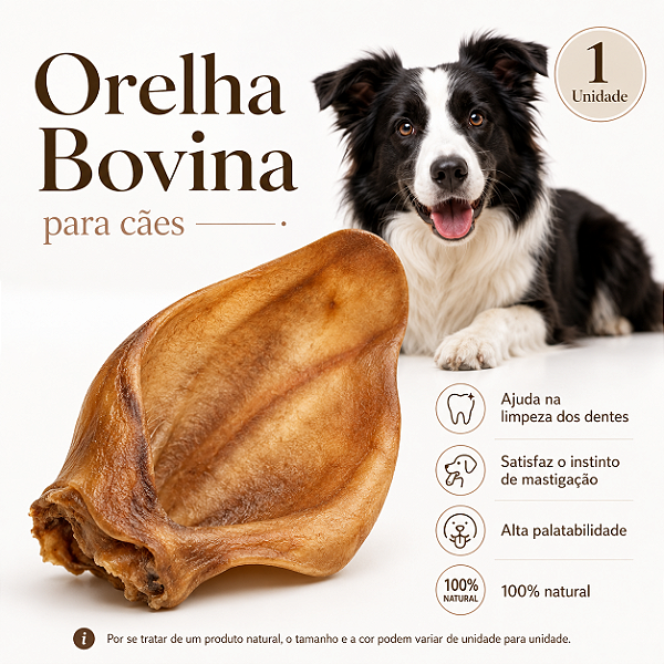 Mordedor Natural Para Cães Orelha Bovina Petisco Natural