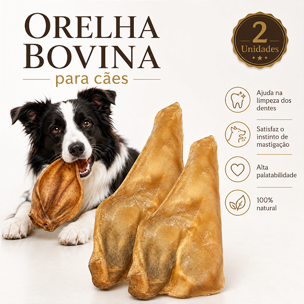 Mordedor Natural Para Cães Orelha Bovina Petisco 2 Unidades