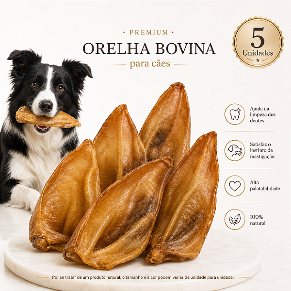 Mordedor Natural Para Cães Orelha Bovina Petisco 5 Unidades