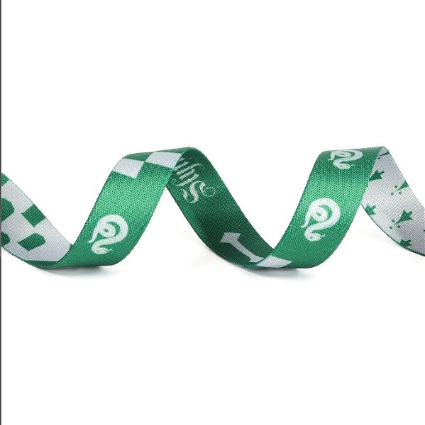 Guia Tradicional Harry Potter - Sonserina